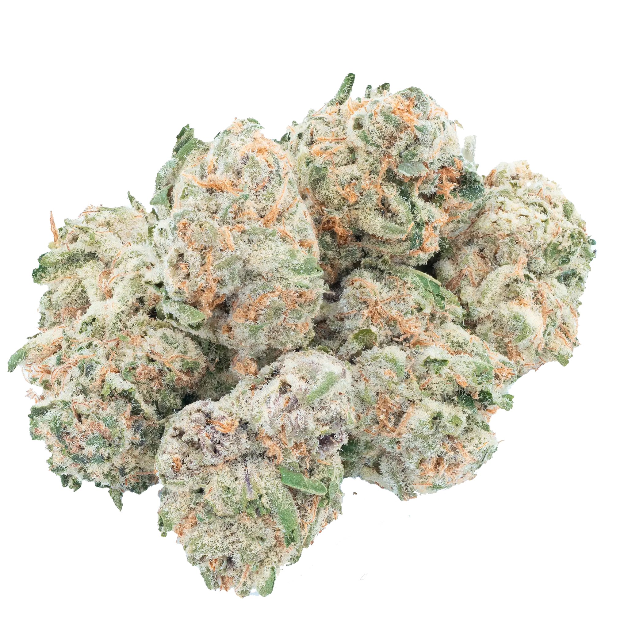 Blue Dream THCa Flower - Image 11