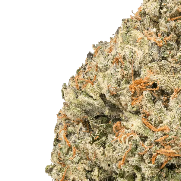 Greenhouse THCa Flower - Image 10