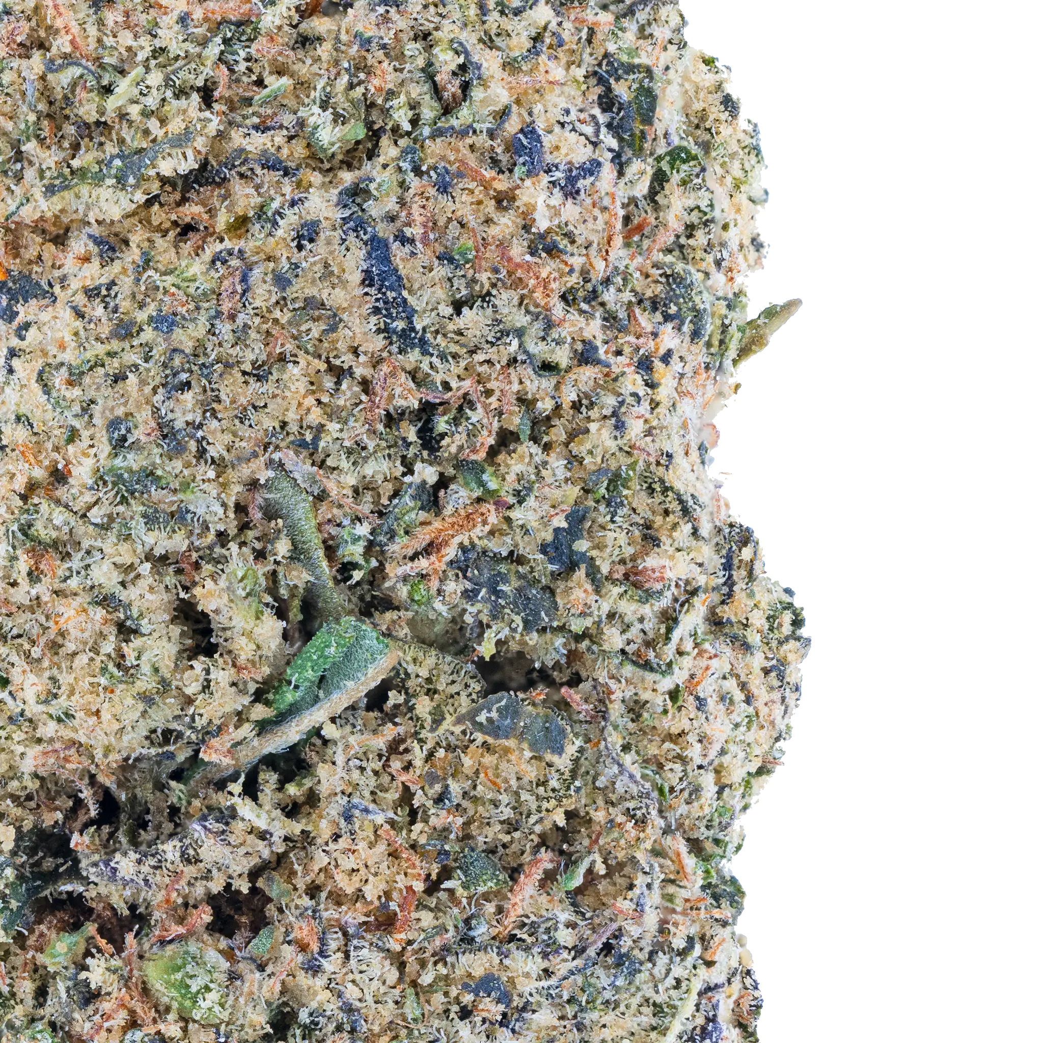 Mango Dream THCa Flower - Image 10