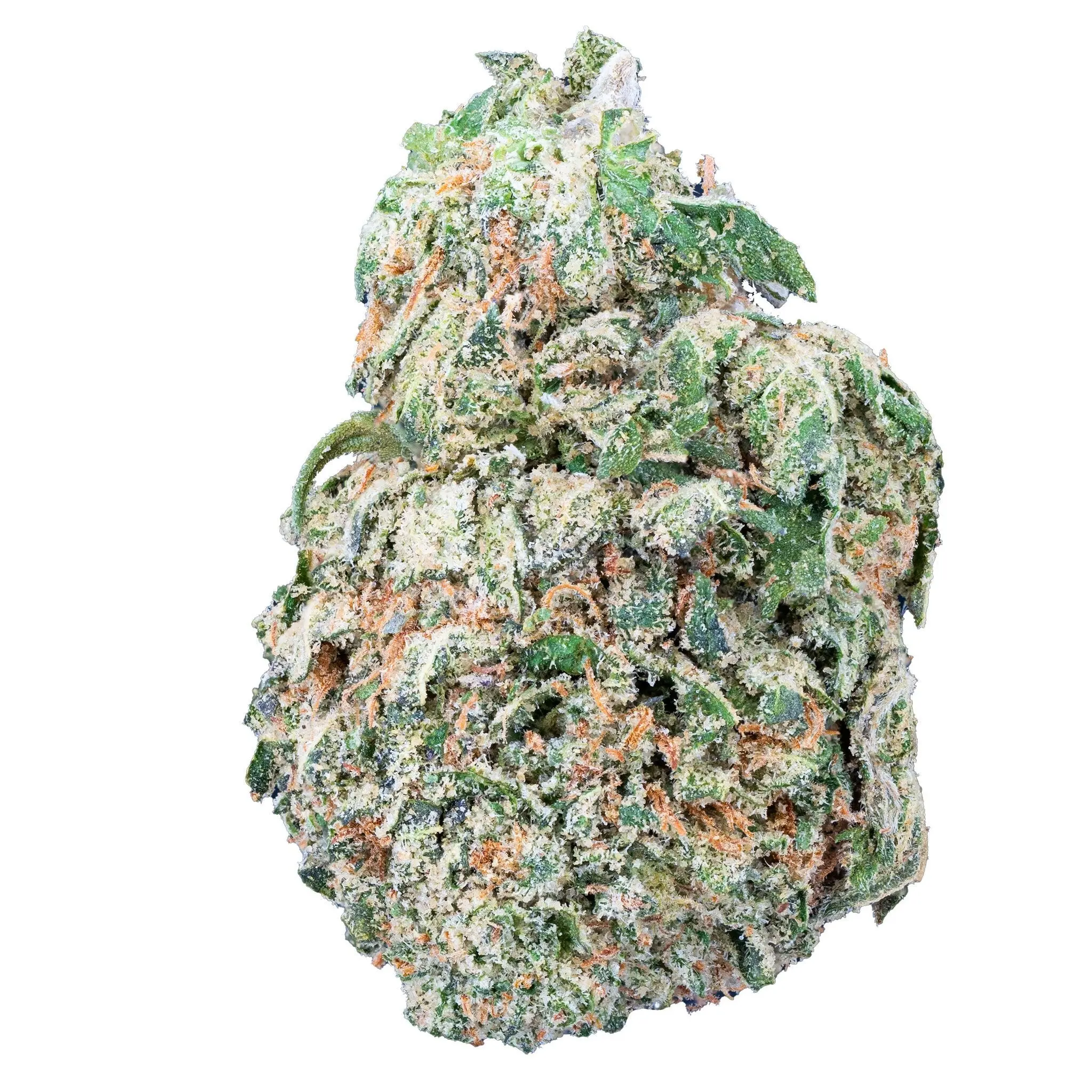 Mango Dream THCa Flower - Image 16
