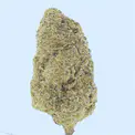 Mango Dream THCa Flower - Image 8