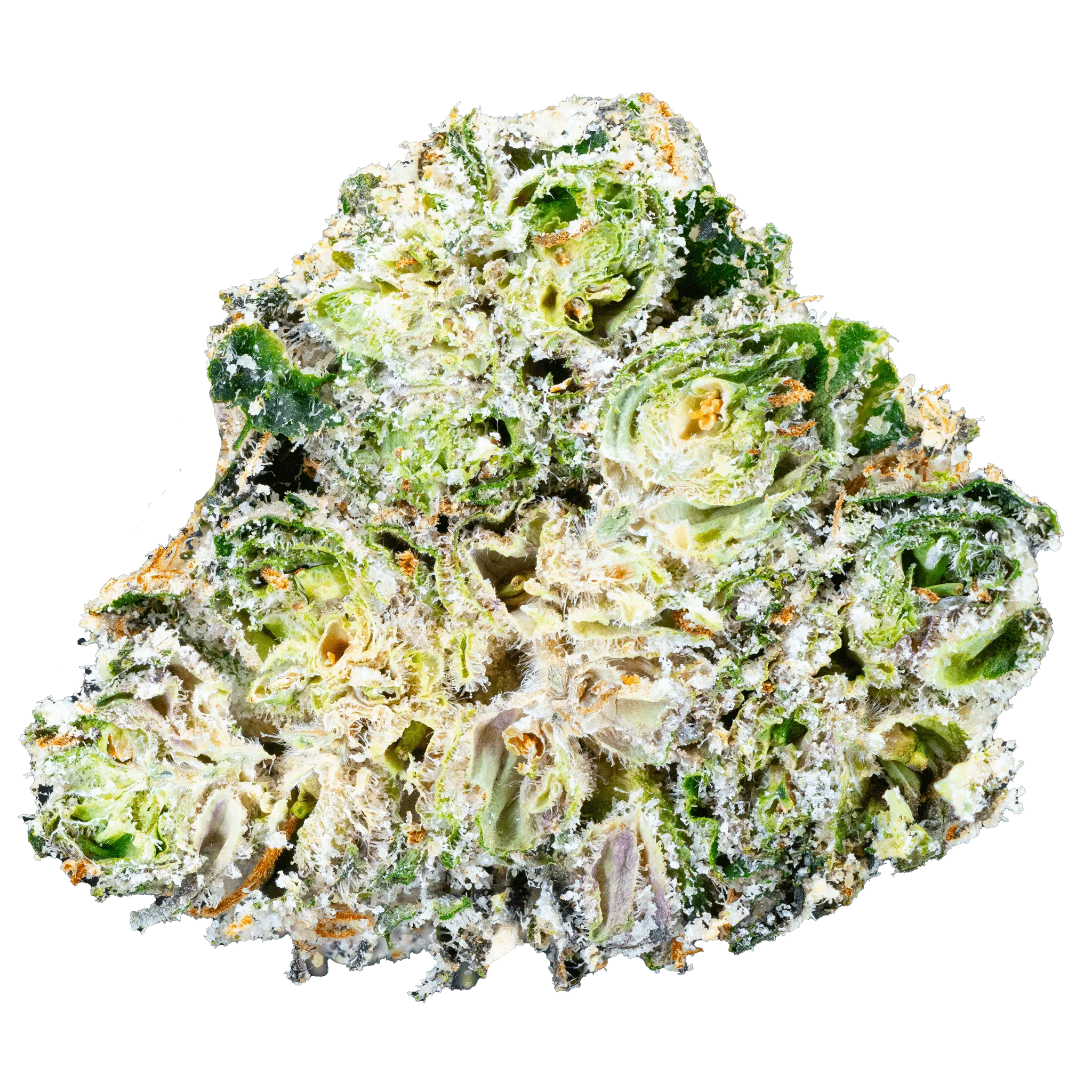 Sour Diesel THCa Flower - Image 19